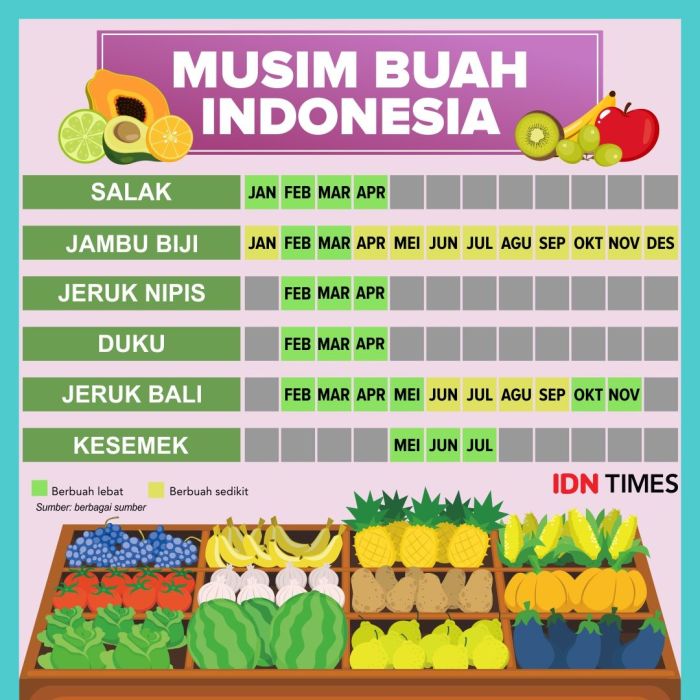 Kapan musim panen buah duku di Indonesia