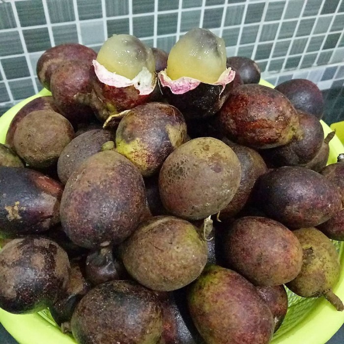 Perbedaan Buah Matoa dan Rambutan