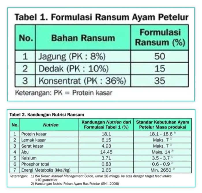 Menghitung kebutuhan pakan ayam petelur berdasarkan umur dan produksi