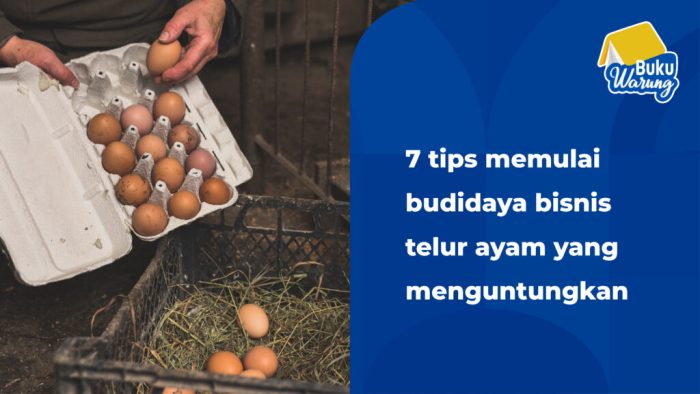 Perawatan ayam petelur organik untuk mendapatkan telur berkualitas